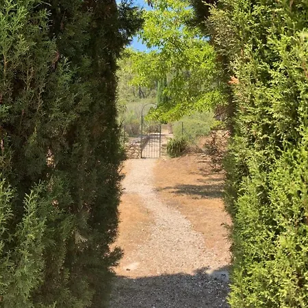 Terrasse Avec Vue Au Coeur Des Alpilles A 15 Mins De Saint Remy De Provence, 5mins D'eygalieres * Orgon